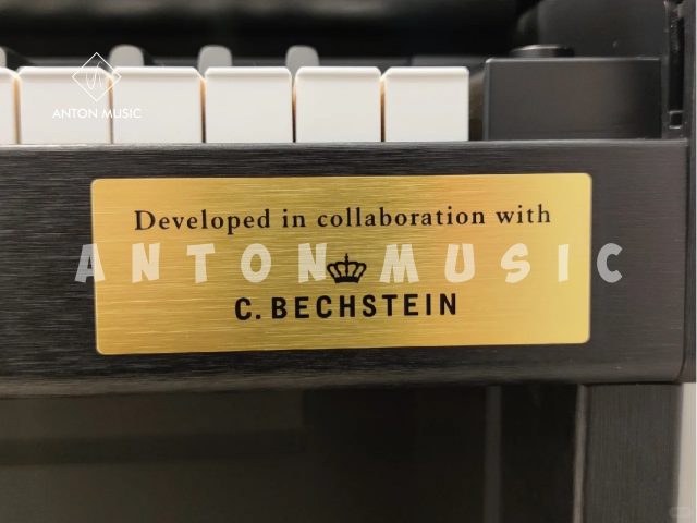 Đàn Piano Điện Casio GP-310 NEW CELVIANO Grand Hybrid