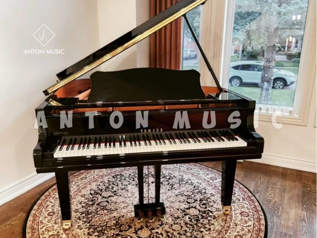 Đại Dương Cầm Yamaha GC1 Baby Grand Nhập Khẩu Chính Hãng