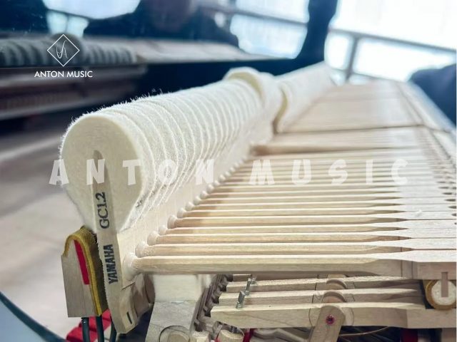 Đại Dương Cầm Yamaha GC1 Baby Grand Nhập Khẩu Chính Hãng