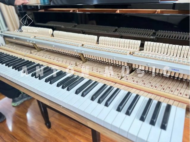 Đại Dương Cầm Yamaha GC1 Baby Grand Nhập Khẩu Chính Hãng