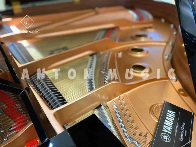 Đại Dương Cầm Yamaha GC1 Baby Grand Nhập Khẩu Chính Hãng