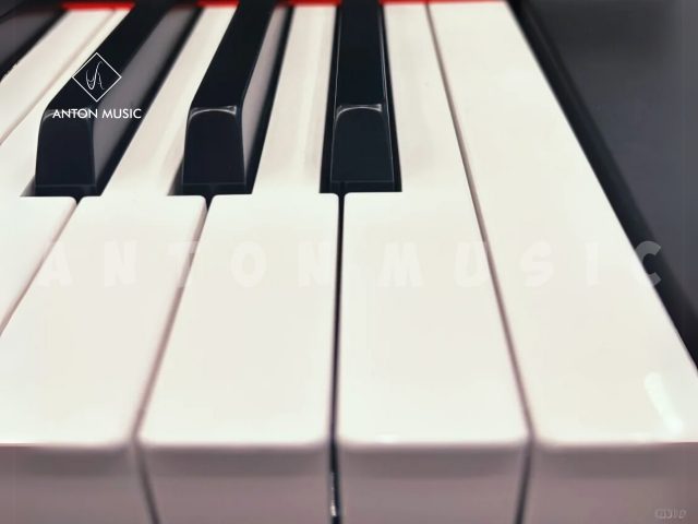 Đàn Piano Điện Yamaha Dòng P Series P225 Cho Người Mới Học