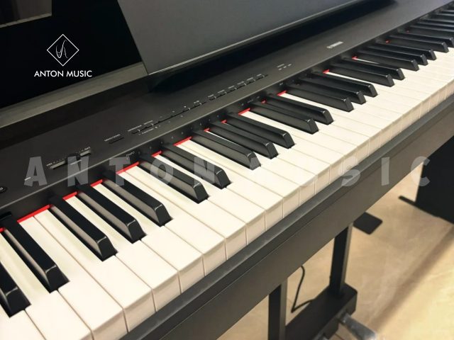 Đàn Piano Điện Yamaha Dòng P Series P225 Cho Người Mới Học