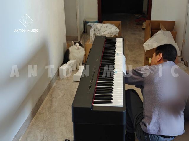 Đàn Piano Điện Yamaha Dòng P Series P225 Cho Người Mới Học