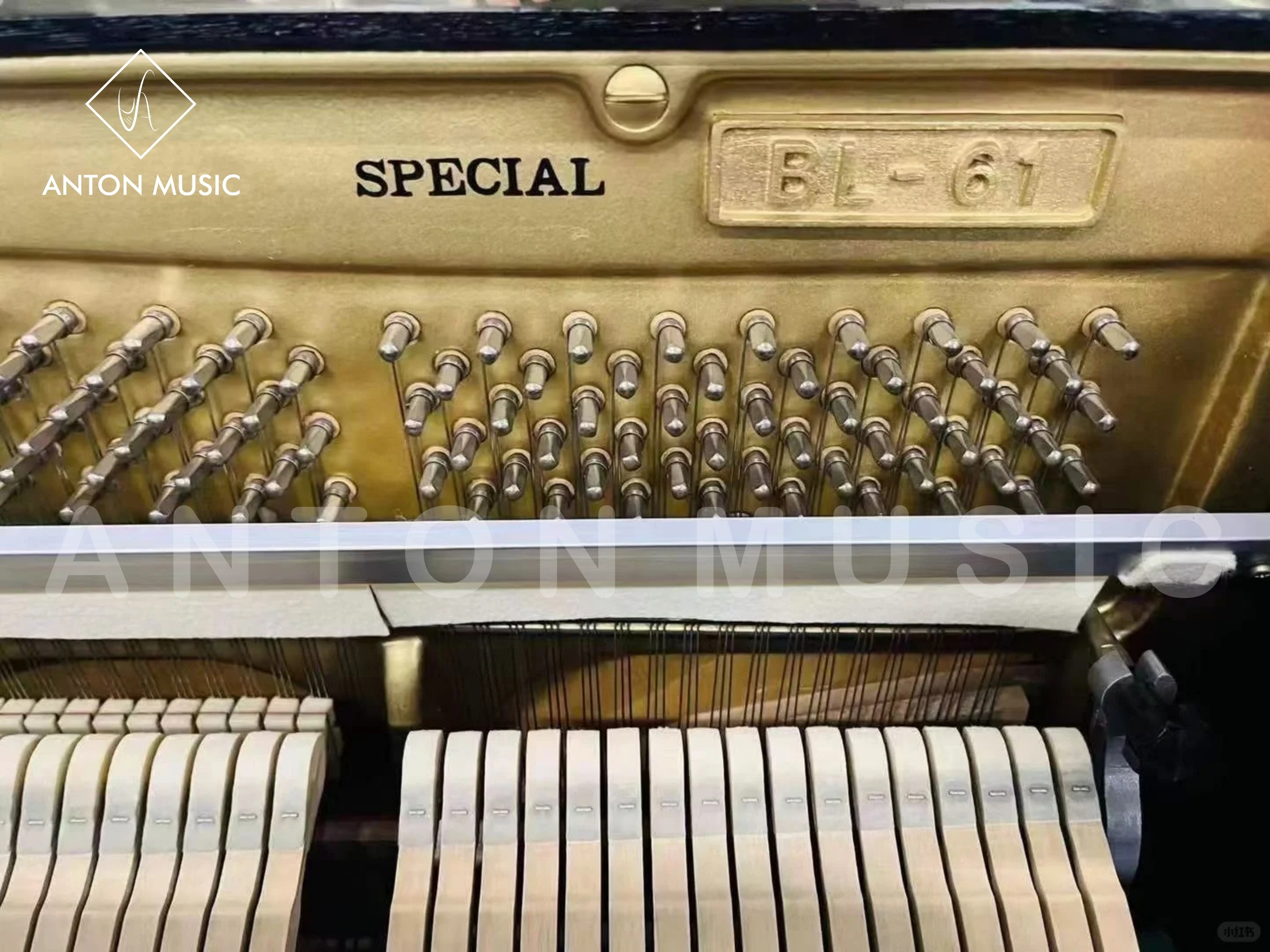 Đàn Piano Đặc Biệt Kawai BL61 Special Edition Khác Gì Bản Thường?