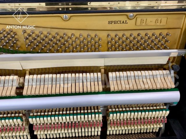 Đàn Piano Đặc Biệt Kawai BL61 Special Edition Khác Gì Bản Thường?