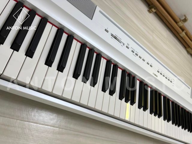 Đàn Piano Điện Yamaha Portable Nhỏ Gọn P121 Kiểu Dáng Slab Dễ Di Chuyển