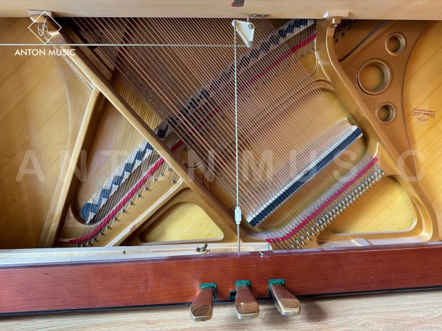 Thương Hiệu Đàn Piano Falcone: Falcone Đến Từ Nước Nào?
