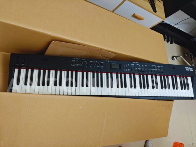 Đàn Piano Biểu Diễn Sân Khấu Roland RD 88 Cho Nghệ Sĩ Biểu Diễn, Nhạc Công Chuyên Nghiệp