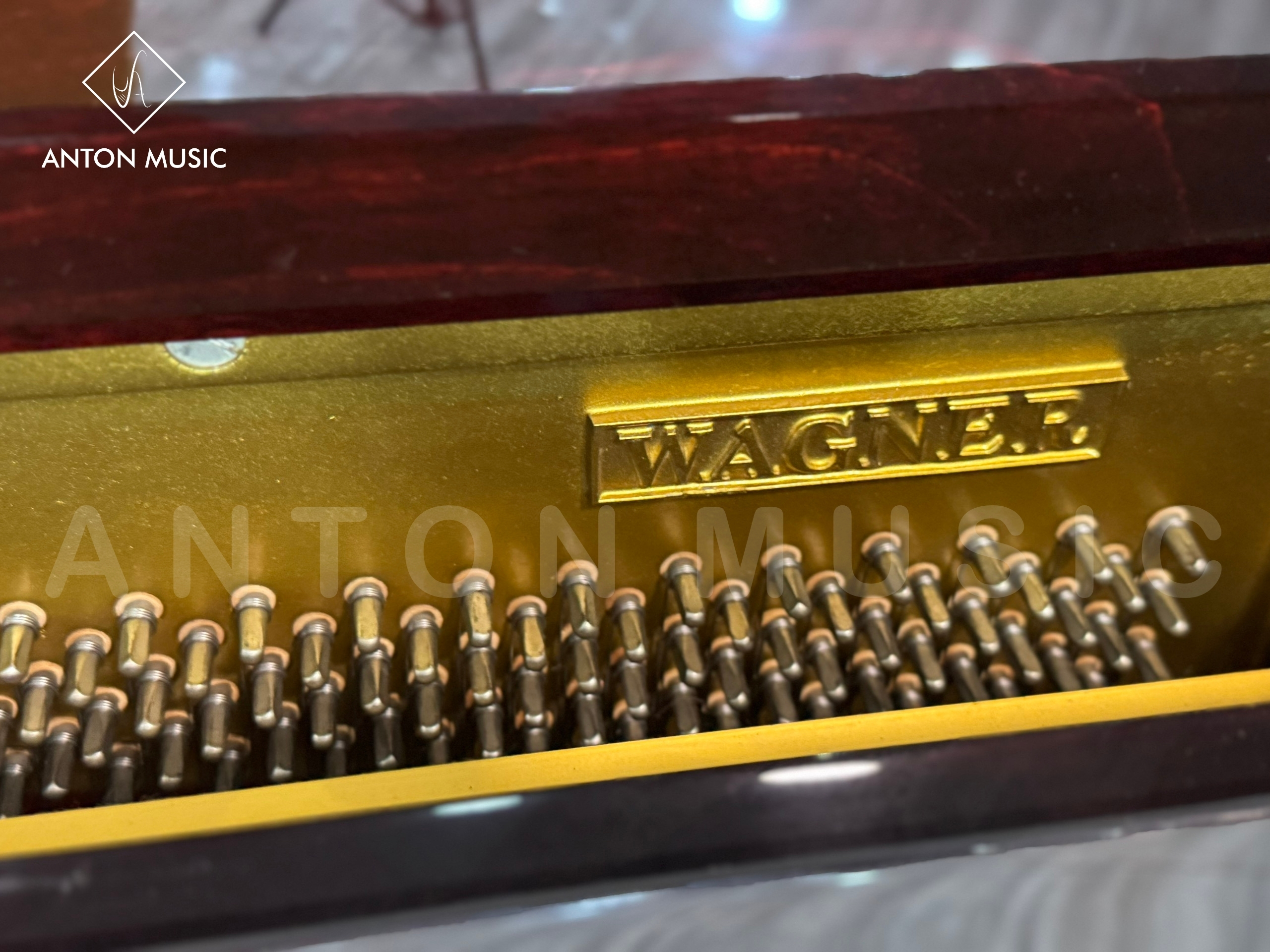 Đàn Cơ Lạc Dòng (Ngoài Dòng) Giá Rẻ Wagner W2