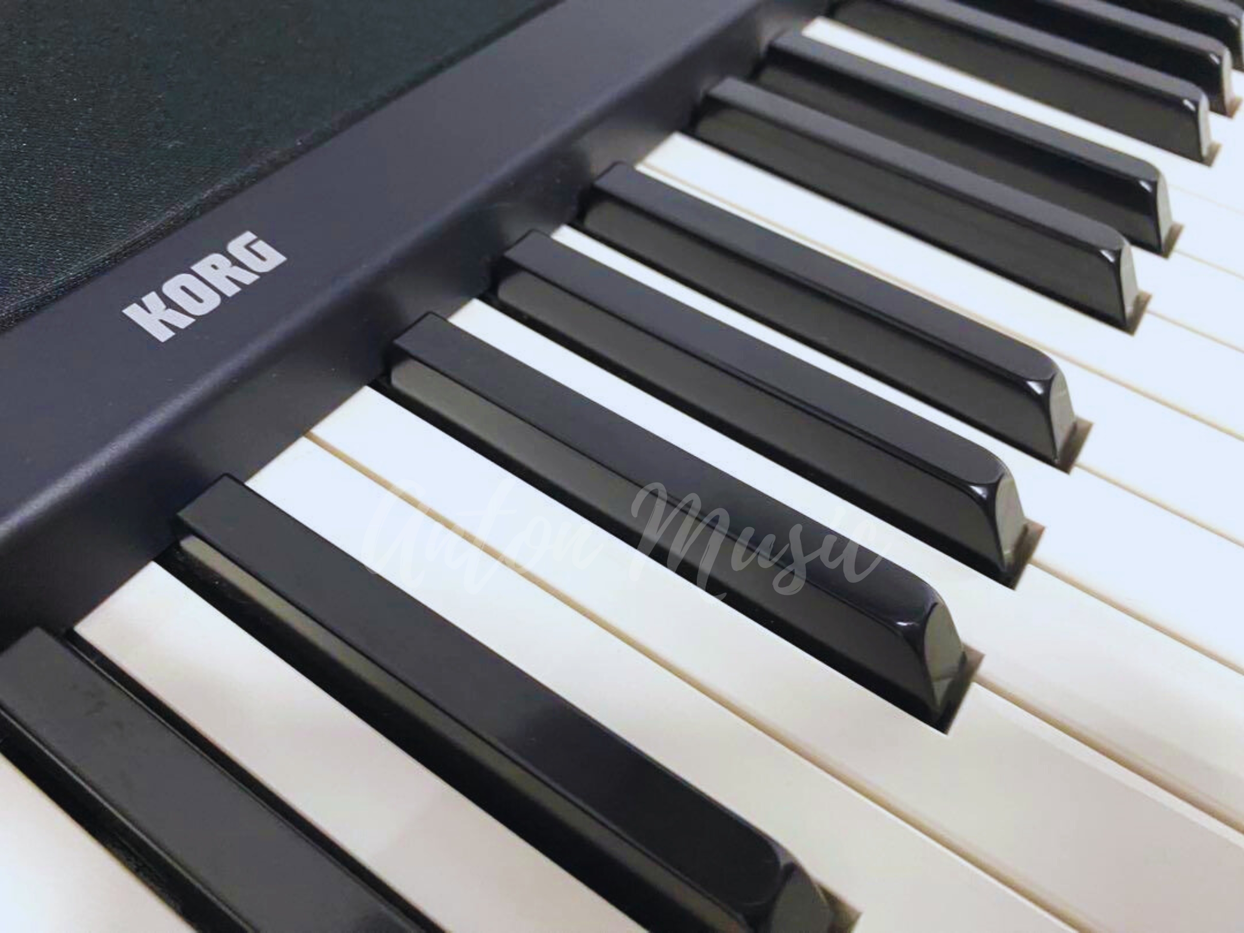 Đàn Piano Korg B1 Giá Rẻ Nhỏ Gọn, Dễ Sử Dụng, Phù Hợp Cho Phòng Trọ, Chung Cư Hoặc Không Gian Hạn Chế