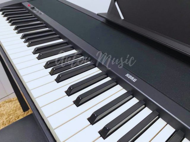 Đàn Piano Korg B1 Giá Rẻ Nhỏ Gọn, Dễ Sử Dụng, Phù Hợp Cho Phòng Trọ, Chung Cư Hoặc Không Gian Hạn Chế