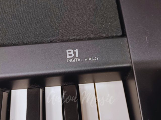 Đàn Piano Korg B1 Giá Rẻ Nhỏ Gọn, Dễ Sử Dụng, Phù Hợp Cho Phòng Trọ, Chung Cư Hoặc Không Gian Hạn Chế
