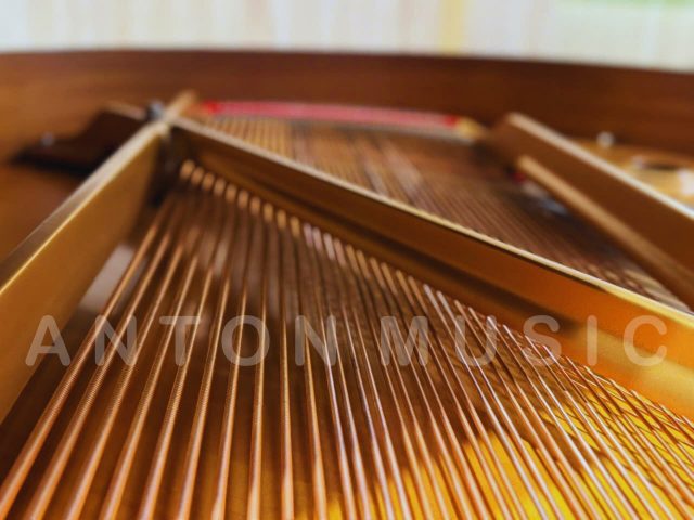 Đàn Piano Grand Yamaha C1 Nhỏ Gọn Nhưng Có Âm Thanh Chuẩn Dành Cho Học Sinh, Giáo Viên Và Người Chơi Chuyên Nghiệp Lâu Dài