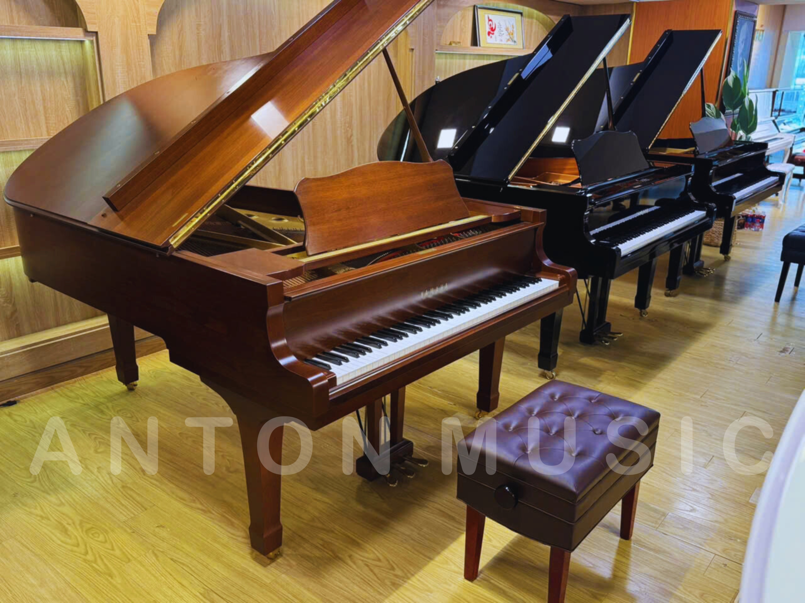 Đàn Piano Grand Yamaha C5 Dòng Conservatory Dành Cho Nhạc Viện