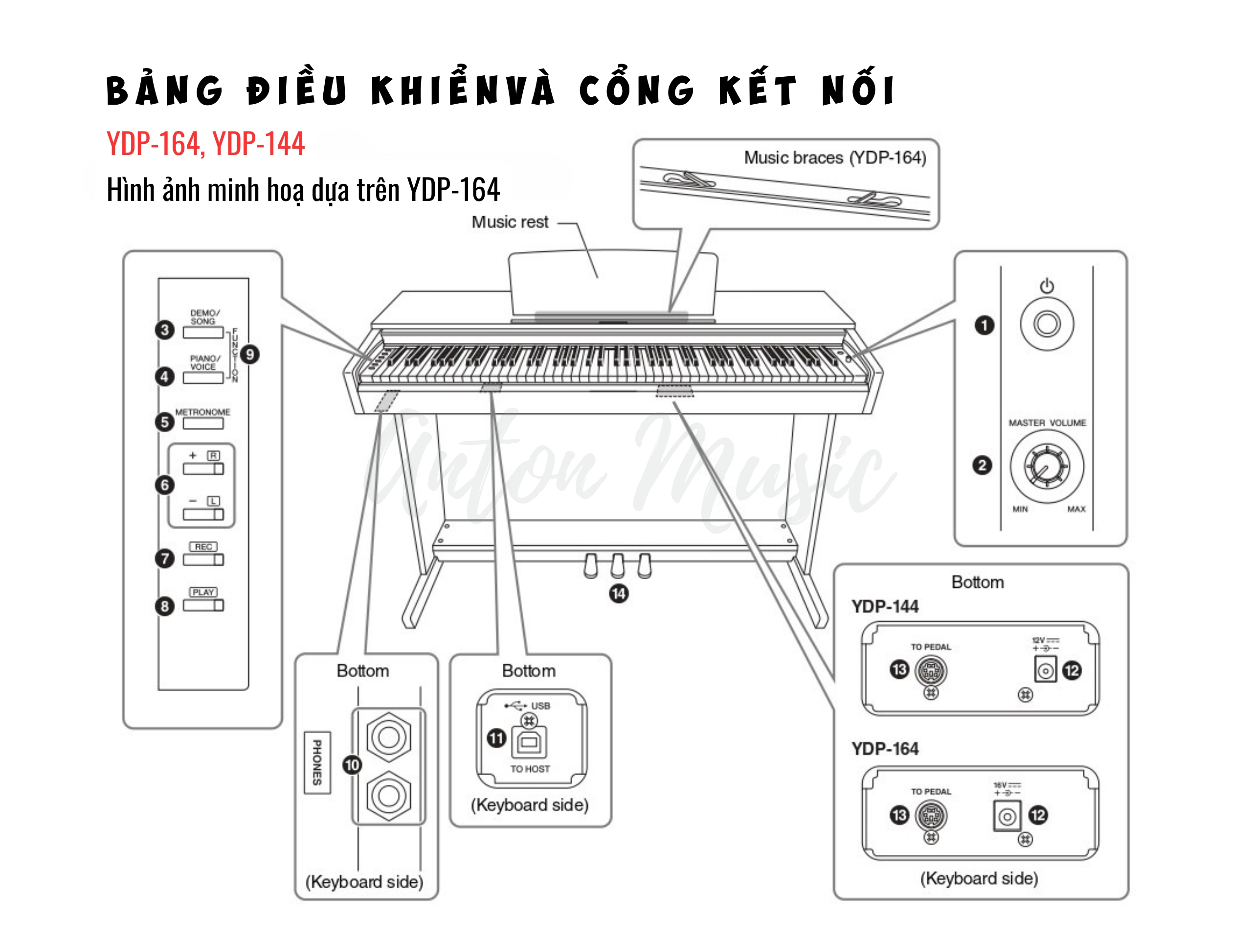 Hướng Dẫn Sử Dụng Yamaha YDP-164, YDP-144, YDP-S54 ARIUS Chi Tiết Dễ Hiểu