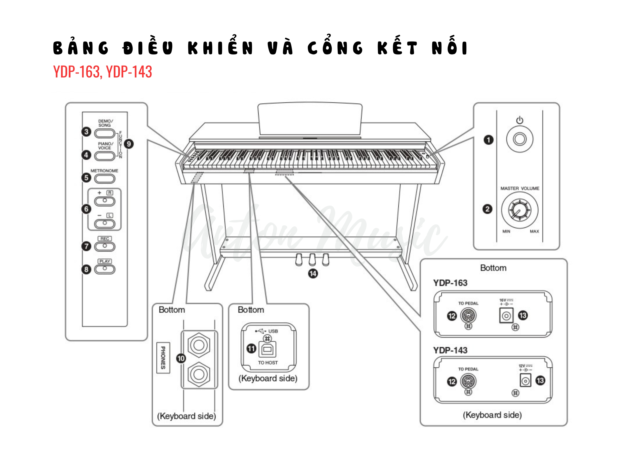 Hướng Dẫn Sử Dụng Yamaha YDP-163, YDP-143 ARIUS Chi Tiết