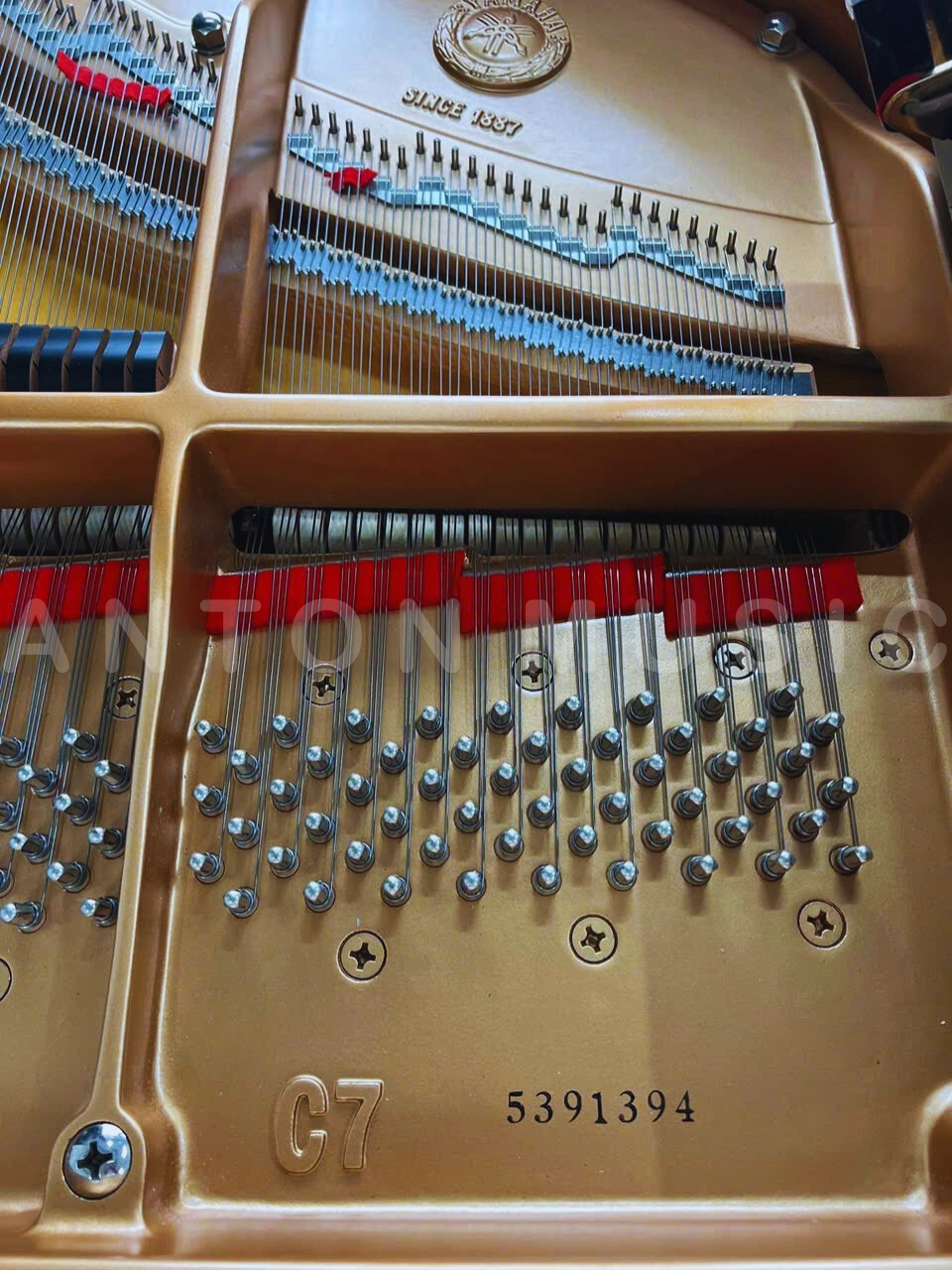 Đàn Piano Grand Yamaha C7 Tự Chơi Disklavier Dòng Conservatory Dành Cho Nhạc Viện