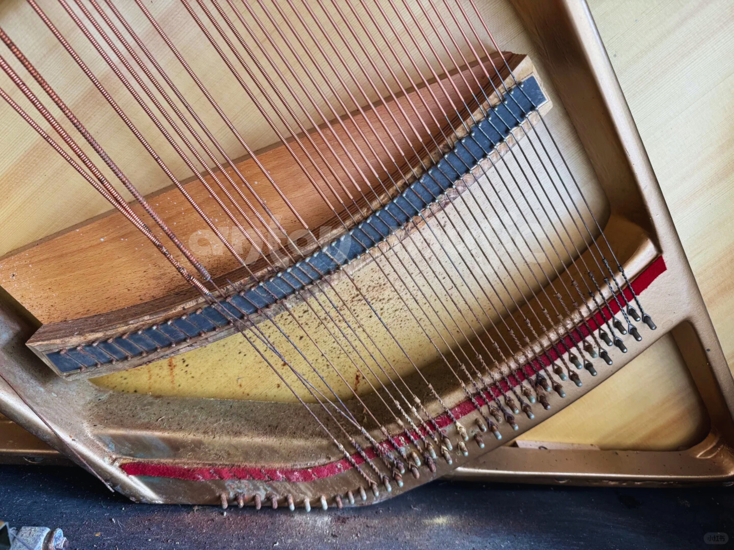 Tầm quan trọng của việc kiểm soát độ ẩm cho đàn piano cơ