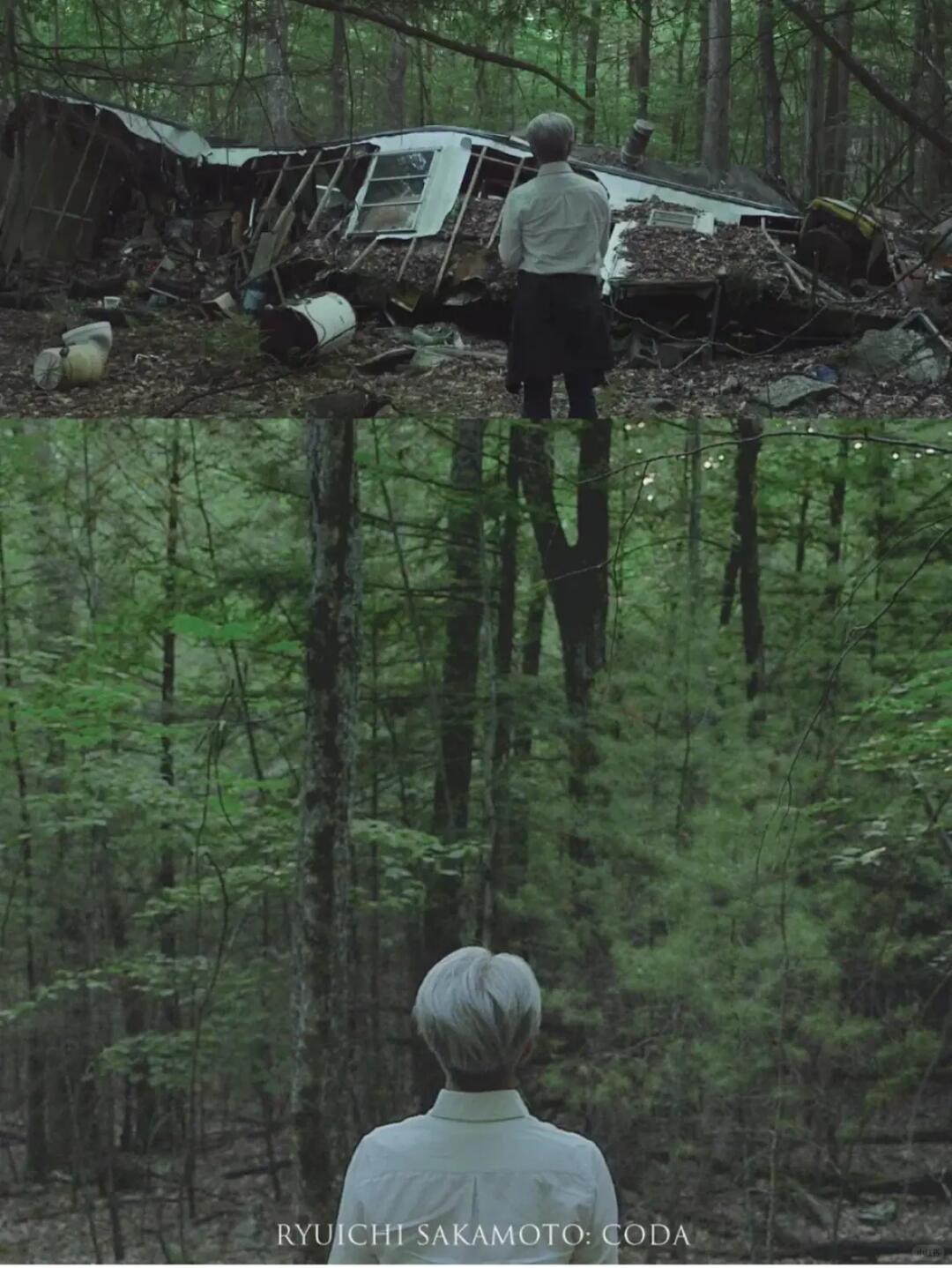 Những Bài Piano Hay Trong Sự Nghiệp Của Ryuichi Sakamoto