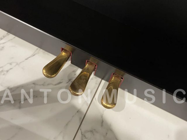 Hệ thống ba Pedal đa năng khai thác sức mạnh của Pedal vang Half-Pedal