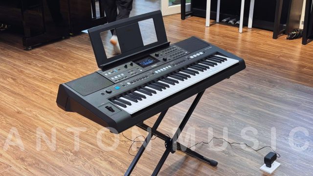 Giá bán lúc mới ra mắt và hiện tại tại shop Anton Music