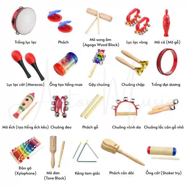 Phương Pháp Dạy Nhạc Nổi Tiếng Nhất Thế Giới