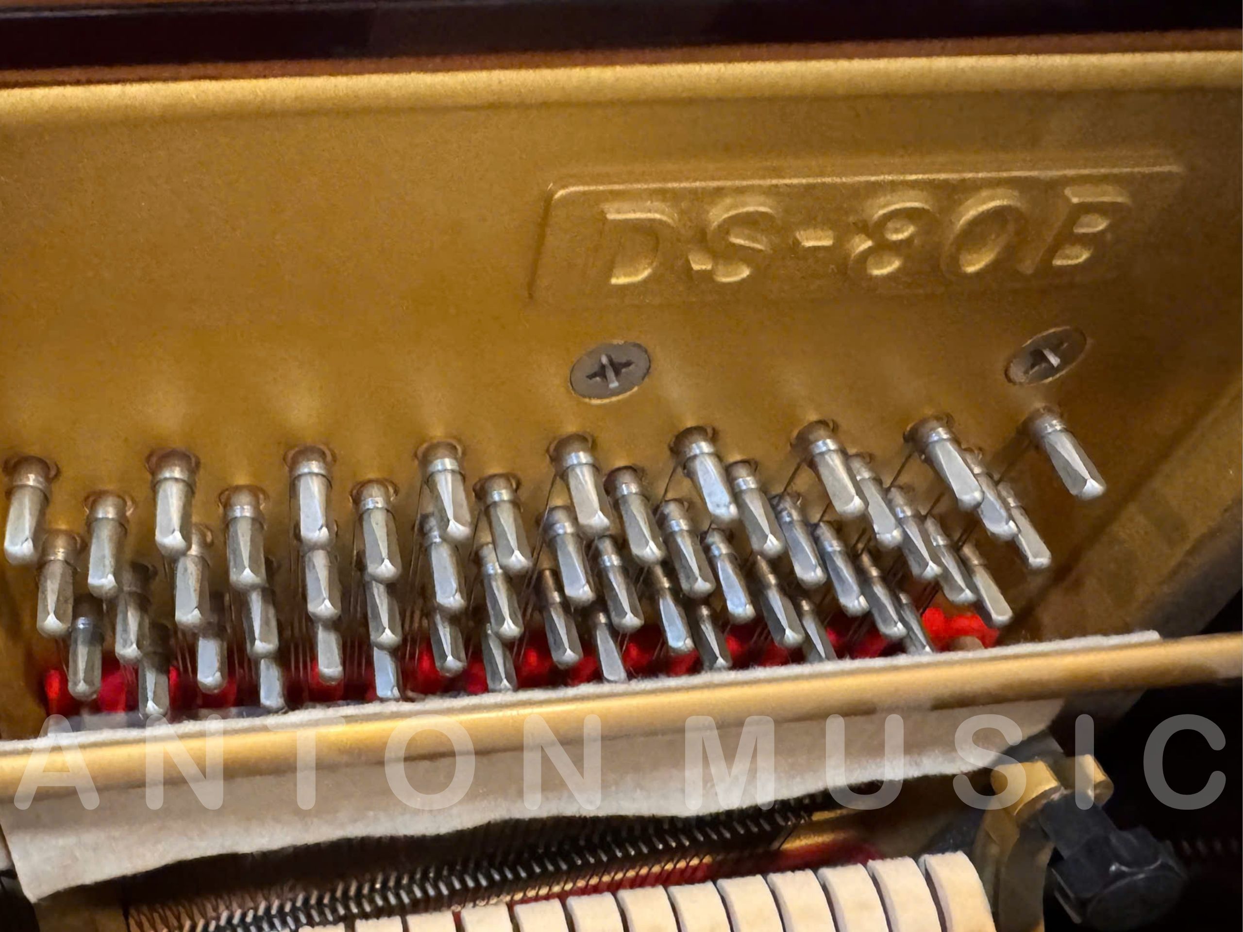 DS80B